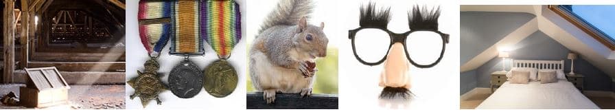 Simply Loft survey London conversion medals squirrel disguise treasure bedroom